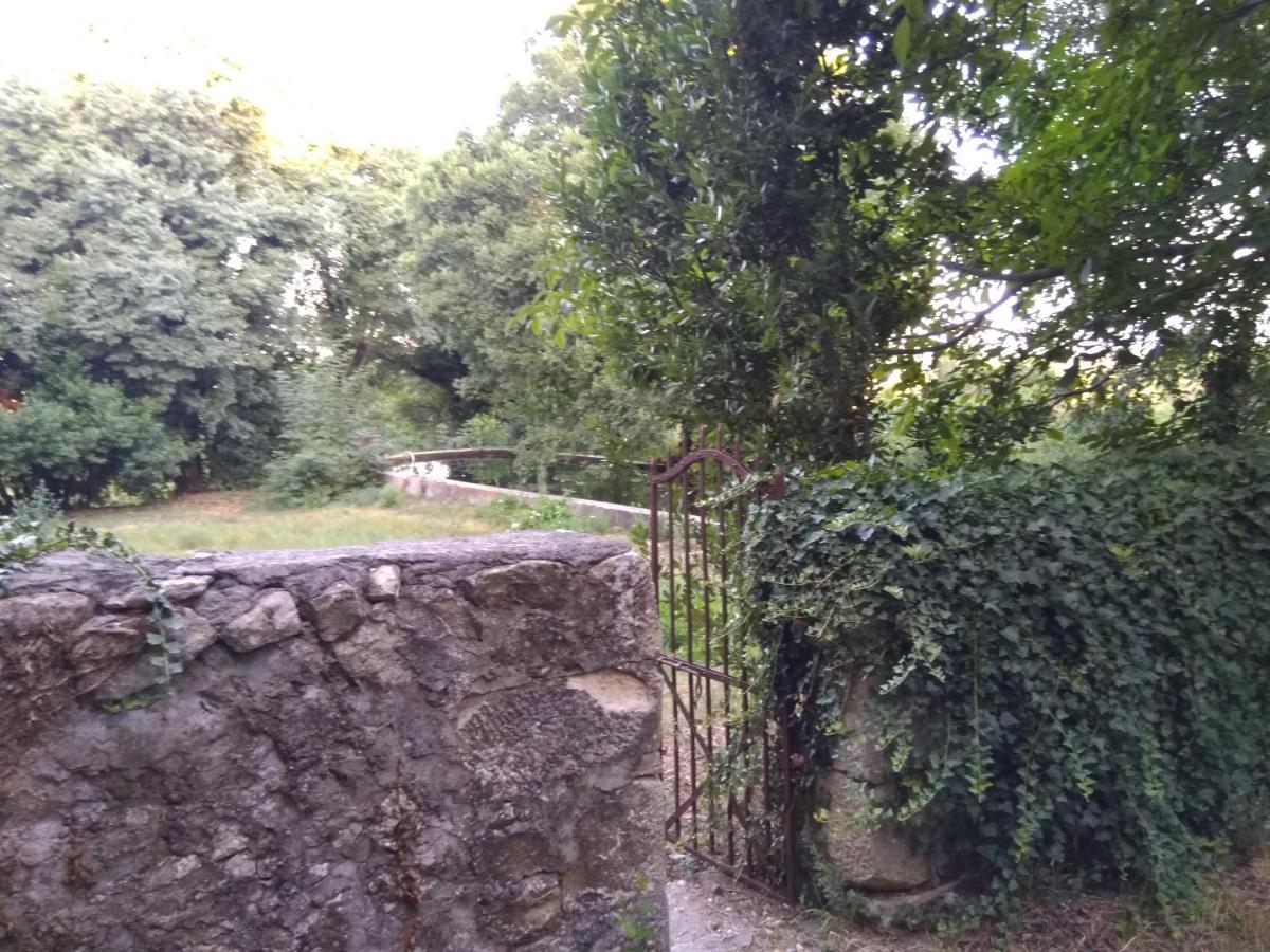 Ferienwohnung Jankovich Castle Benkovac Exterior foto